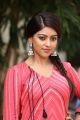 Beautiful Anu Emmanuel Photos @ Majnu Success Meet