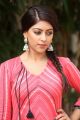 Telugu Actress Anu Emmanuel in Pink Dress Photos