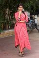 Beautiful Anu Emmanuel Photos in Pink Dress