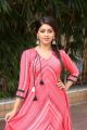 Beautiful Actress Anu Emmanuel Photos in Pink Dress