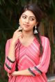 Beautiful Anu Emmanuel Photos in Pink Dress