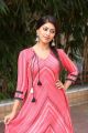 Beautiful Actress Anu Emmanuel Photos in Pink Dress