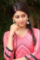 Telugu Actress Anu Emmanuel in Pink Dress Photos