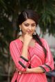 Beautiful Actress Anu Emmanuel Photos in Pink Dress