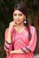 Beautiful Anu Emmanuel Photos in Pink Dress