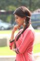 Beautiful Anu Emmanuel Photos in Pink Dress