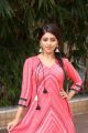 Telugu Actress Anu Emmanuel in Pink Dress Photos