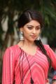 Beautiful Anu Emmanuel Photos in Pink Dress