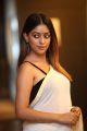 Actress Anu Emmanuel Latest Hot Saree Pics