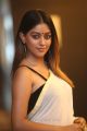 Actress Anu Emmanuel Saree Latest Pics