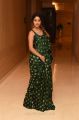 Actress Anu Emmanuel Saree Pics @ Shailaja Reddy Alludu Blockbuster Press Meet