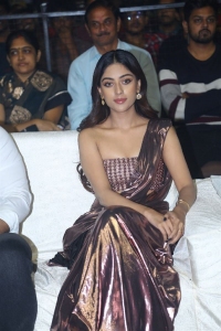 Actress Anu Emmanuel Stills @ Urvasivo Rakshasivo Blockbuster Celebrations