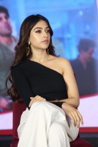 Urvasivo Rakshasivo Movie Actress Anu Emmanuel Latest Stills