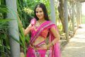 Telugu Actress Anu Smruthi Hot Stills in Dark Pink Saree