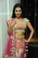 Telugu Actress Anusmriti Sarkar Hot Images