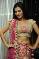 Telugu Actress Anusmriti Sarkar Hot Images in Pink Dress