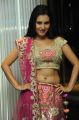 Telugu Actress Anusmriti Sarkar Hot Images