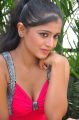 Telugu Actress Anu Sree Spicy Stills