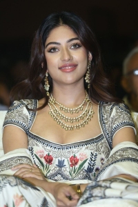 Urvasivo Rakshasivo Movie Heroine Anu Emmanuel New Stills