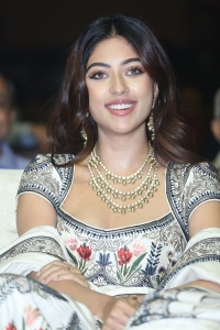 Urvasivo Rakshasivo Movie Heroine Anu Emmanuel New Stills