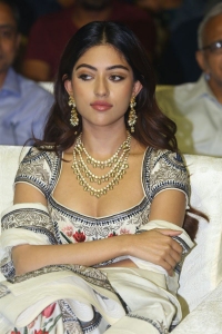 Actress Anu Emmanuel Stills @ Urvasivo Rakshasivo Movie Pre Release