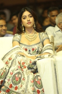 Actress Anu Emmanuel New Stills @ Urvasivo Rakshasivo Pre Release