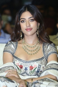 Urvasivo Rakshasivo Movie Actress Anu Emmanuel New Stills