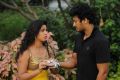 Pavani, Santhosh Raj in Anu Vamsi Katha Movie Stills