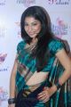 Tamil Actress Anuja Iyer Hot Saree Pics at Sri Palam Silks