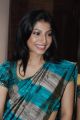 Actress Anuja Iyer at Sri Palam Silks Concept Saree Event Stills