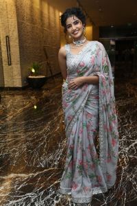 Eagle Movie Heroine Anupama Parameswaran Saree Photos