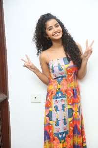 Karthikeya 2 Movie Anupama Parameswaran Interview Pictures