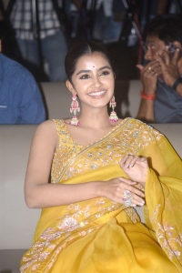 Anupama Parameswaran Saree Pics @ Karthikeya 2 Success Celebrations