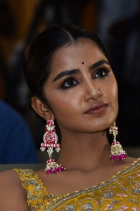 Karthikeya 2 Actress Anupama Parameswaran Saree Pics