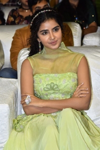 Actress Anupama Parameswaran Pics @ Karthikeya 2 Pre Release