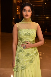 Karthikeya 2 Movie Actress Anupama Parameswaran Pics