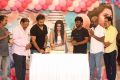 Anupama Parameswaran Birthday Celebrations 2018 Photos