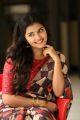 Tej I Love You Heroine Anupama Parameswaran Interview Images