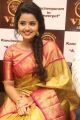 VRK Silks Grand Launch by Anupama Parameswaran at Ameerpet, Hyderabad