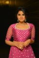 Rakshasudu Movie Actress Anupama Parameswaran New Pictures