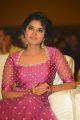 Actress Anupama Parameswaran Pictures @ Rakshasudu Movie Pre Release