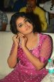 Actress Anupama New Pictures @ Rakshasudu Pre Release