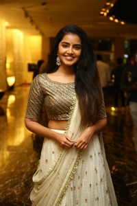 Rowdy Boys Movie Actress Anupama Parameswaran Pictures