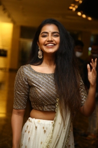 Actress Anupama Parameswaran Pictures @ Rowdy Boys Musical Night