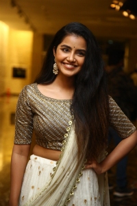 Rowdy Boys Movie Actress Anupama Parameswaran Pictures