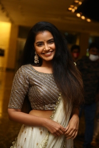 Actress Anupama Parameswaran Pictures @ Rowdy Boys Musical Night