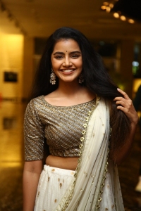 Rowdy Boys Movie Actress Anupama Parameswaran Pictures