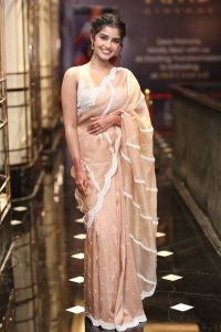 Tillu Square Actress Anupama Parameswaran New Stills