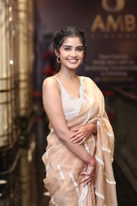 Tillu Square Actress Anupama Parameswaran New Stills