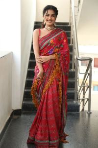 Tillu Square Actress Anupama Parameswaran Cute Saree Pics